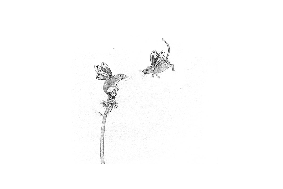 Mouse Moth Greetings Card